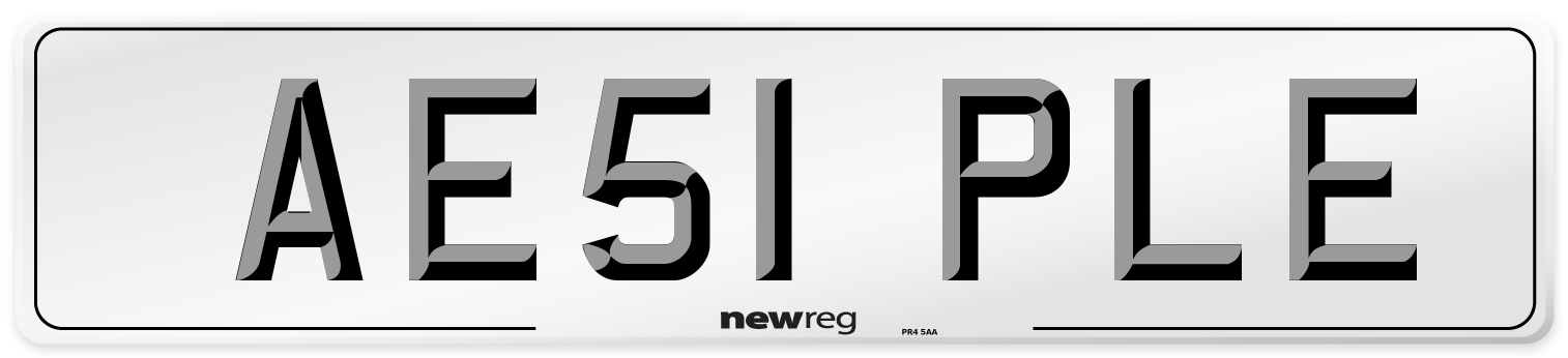 AE51 PLE Number Plate from New Reg